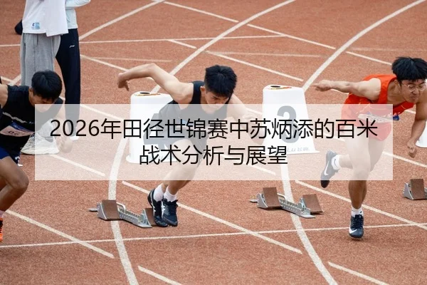 nian-tian-jing-shi-jin-sai-zhong-su-bing-tian-de-bai-mi-zhan-shu-fen-xi-yu-zhan-wang-2-437.jpg