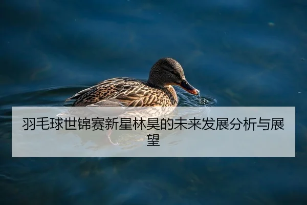 yu-mao-qiu-shi-jin-sai-xin-xing-lin-hao-de-wei-lai-fa-zhan-fen-xi-yu-zhan-wang-2-179.jpg