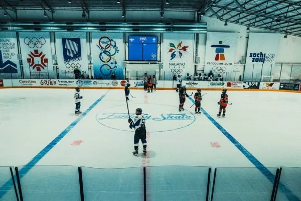 ice hockey arena game
